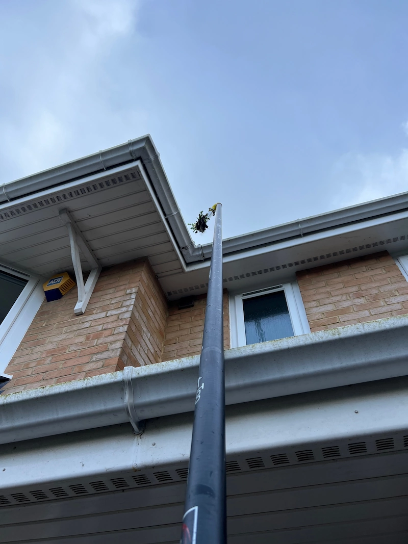 Puralux gutter vacuum clearing weeds