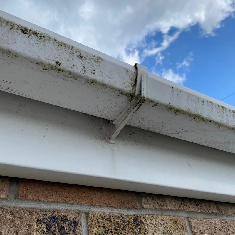 Dirty, green fascias and gutters before cleaning