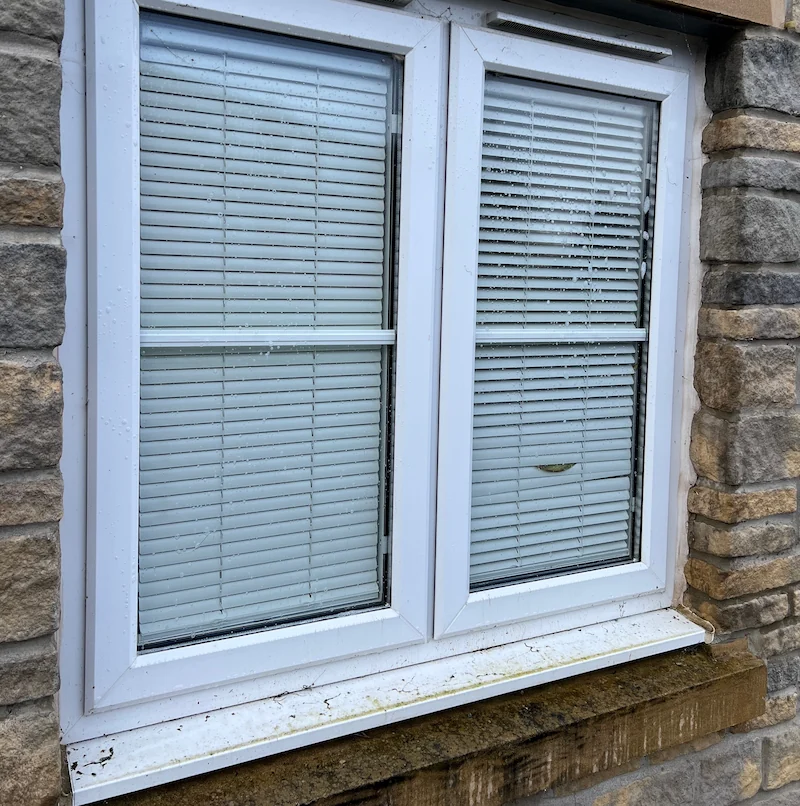 Dirty windows before Puralux clean